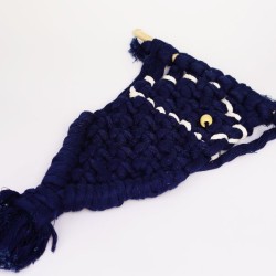 poisson bleu avec crochet 