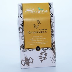 Tisane infusion Renaissance – Vitalité Éclatante – 20 infusions