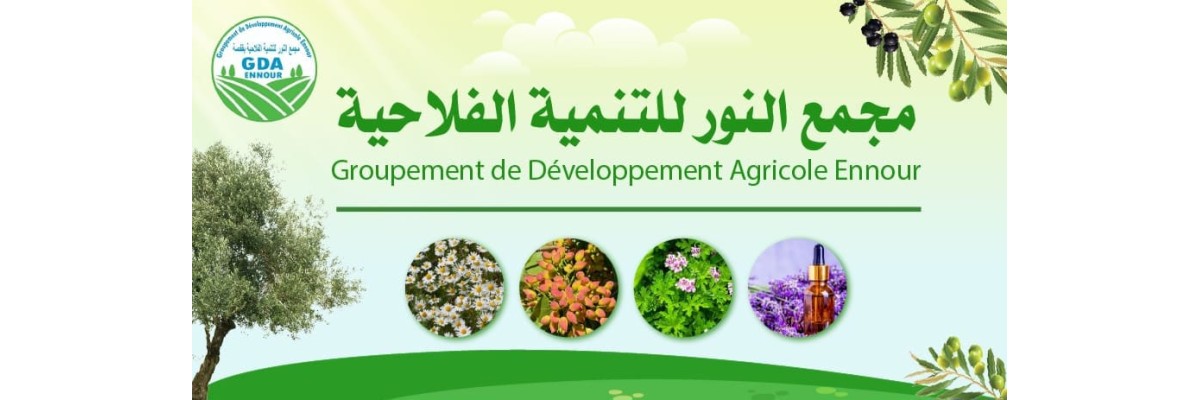 GDA Al Nour pour le développement agricole de Gafsa GDA Al Nour pour le développement agricole de Gafsa